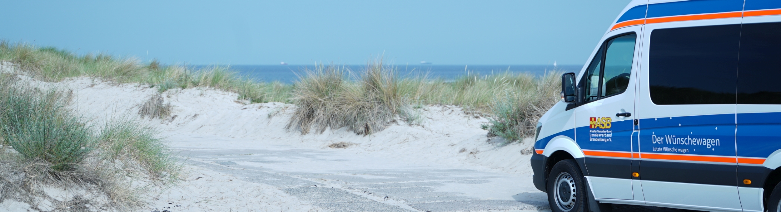 HaderStrand.jpg